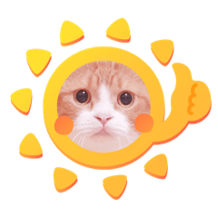 [LINEスタンプ] 韓国名のねこたち